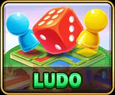 JungleBet account verification